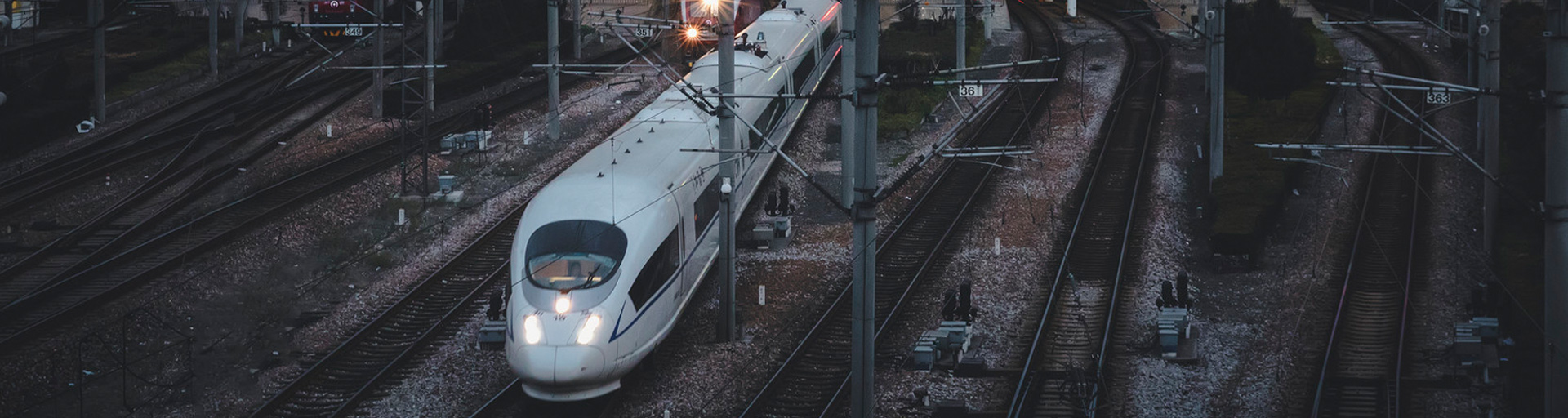 沈陽好色先生TV视频下载